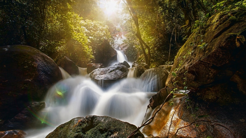 power in nature, flowing, body of water, environment, stream - flowing water, brazil, rainforest, rock - object, sunshine, vegetation, forest, nature, water
