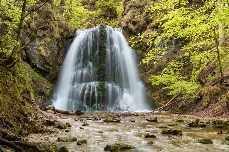 land, rock, tree, long exposure, rock formation, stones, plant, forest, flow motion, no people, nature, splash, scenics - nature, green, water, 5K, blurred motion