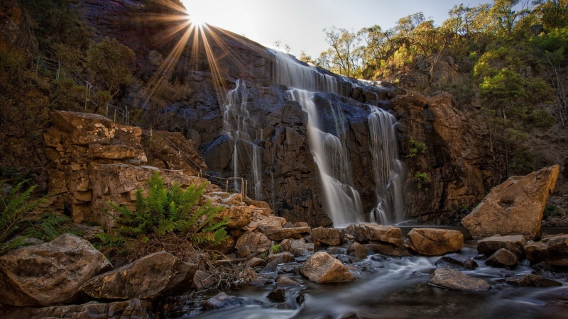 beauty in nature, rock formation, long exposure, water feature, stream, scenics - nature, national park, day, land, rock, plant, water, power in nature