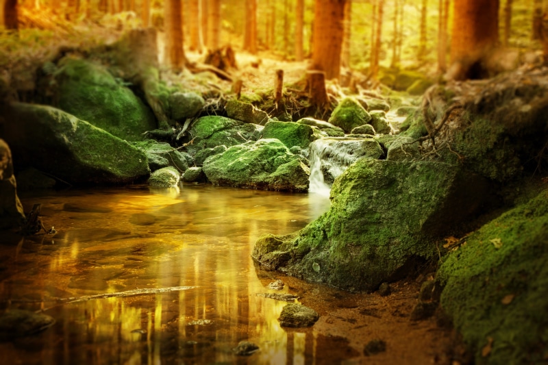 tranquility, outdoors, trees, green color, sunlight, no people, watercourse, flowing, lonely, long exposure, 4K, rock, rest, day, background image, land
