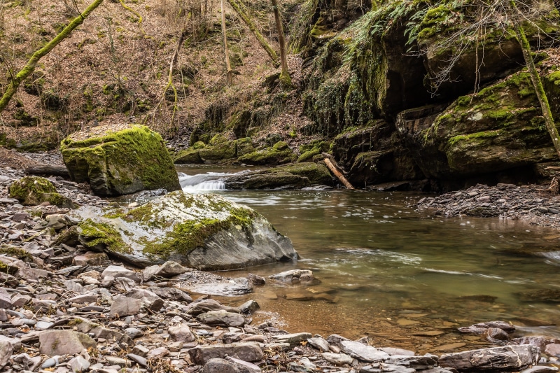 rock, water, waters, river, watercourse, scenics - nature, beauty in nature, stones, flow, movement, tranquility, day, plant, bad bertrich, outdoors, bank