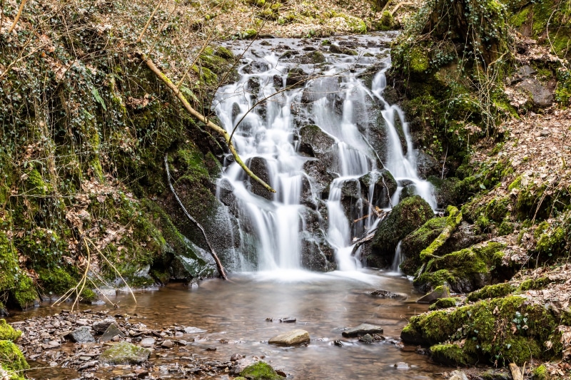 landscape, rock, scenics - nature, stones, plant, power in nature, rainforest, flowing water, non-urban scene, solid, forest, movement, outdoors, weathered