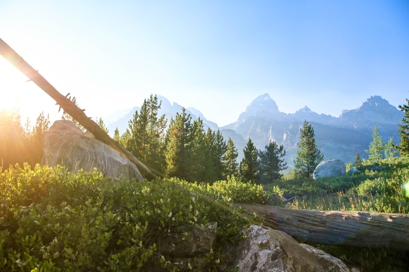 tranquility, tranquil scene, environment, mountains, jackson hole, sunlight, grand tetons, sun flare, growth, nature, taggart lake, beauty in nature, mountain