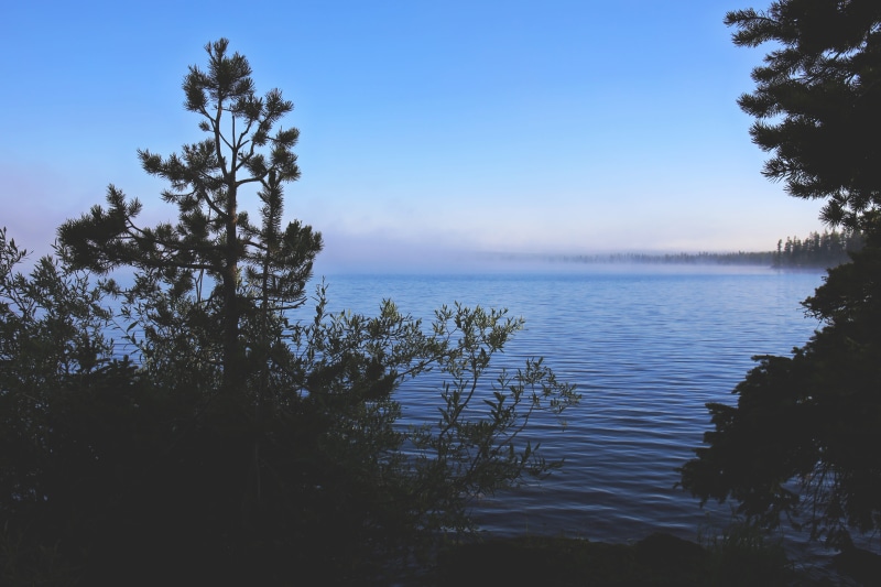 idyllic, land, tranquility, desktop, united states, trees, water, mist, sunrise, day, nature, lake, beauty in nature, outdoors, 5K, coniferous tree, non-urban scene