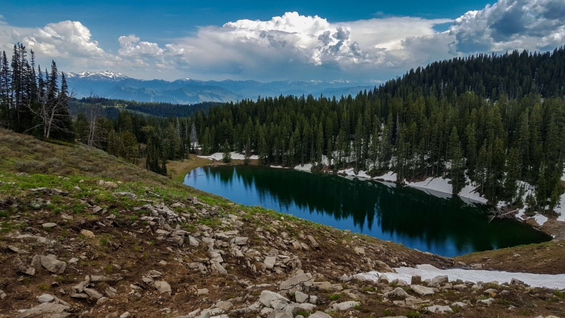 scenics - nature, pine woodland, lake, pine tree, snow, landscape, trees, mountain, rock - object, water, land, no people, tree, non-urban scene, beauty in nature