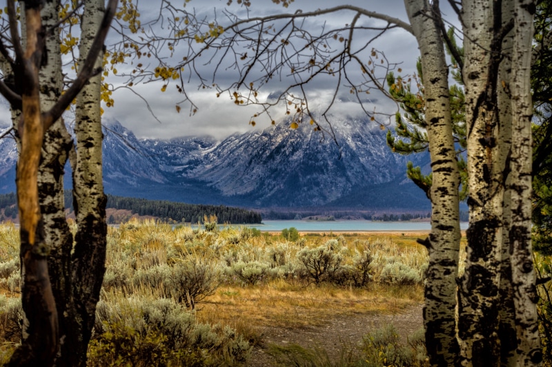 aspens, scenics, 4K, mountain, black, Canon  EOS  REBEL  T2i, landscape, clouds, aspen, black mountain, fall, mist, USM, nature, snow, lake, bark, Canon EOS REBEL T2i