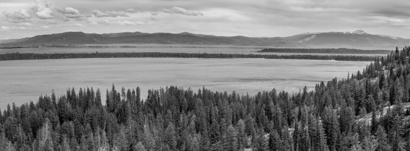 land, mountain range, 8K, jackson, united states, green, plant, jackson hole, yellowstone, water, cloud - sky, tree, coniferous tree, non-urban scene