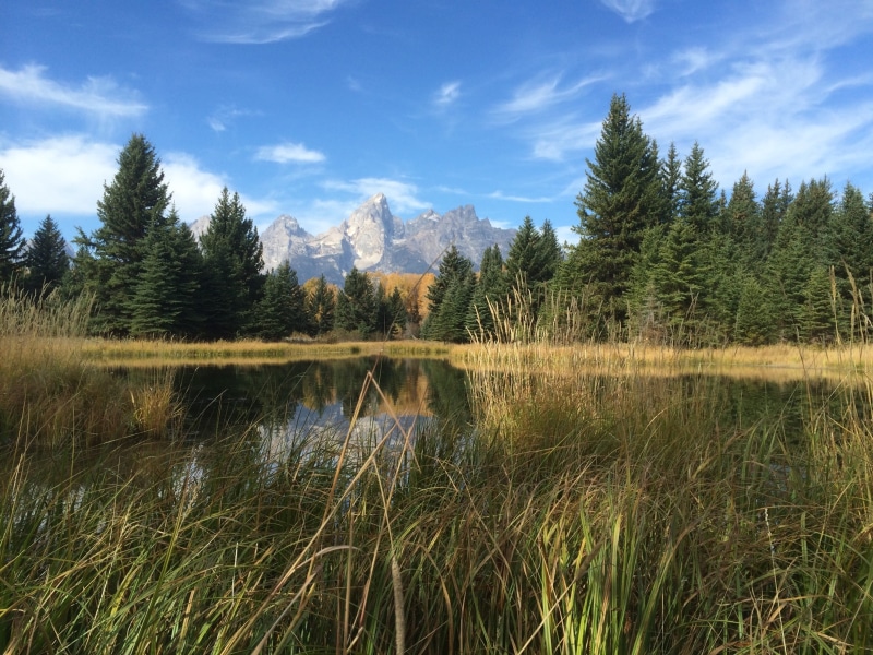 sky, day, conifer, schwabachers landing, land, reflection, grand teton national park, swamp, cloud - sky, fir, tree, 2K, no people, non-urban scene