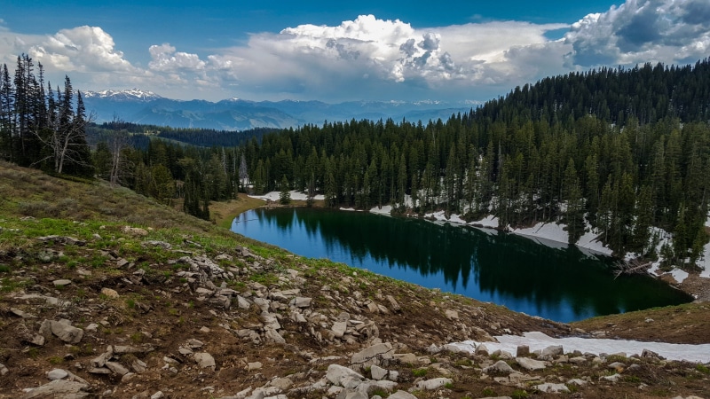 lake, tree, plant, rock - object, landscape, scenics - nature, reflection, growth, beauty in nature, solid, wyoming, tranquil scene, grand tetons, tranquility