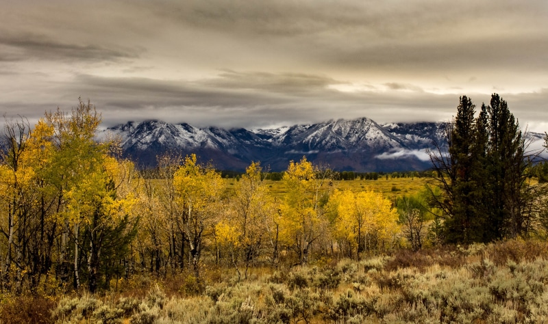 snows, forest, nature, autumn, sky, 2K, yellow, snow, photo, tetons, mountain Range, daytime, aspens, mountain, ef, beauty In Nature, season, landscape