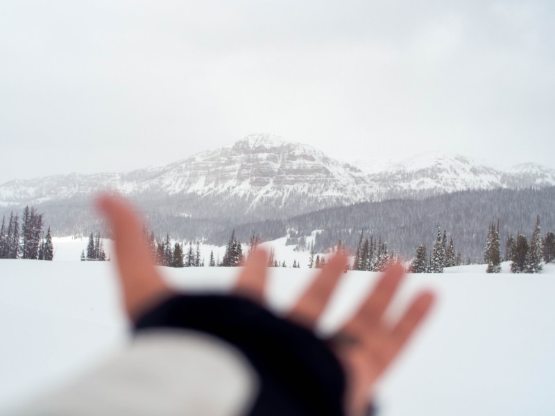 covered, 4K, snow, winter, ice, mountain, leisure activity, land, usa, person, nature, day, brooks lake lodge, turpin meadows, jackson, non-urban scene