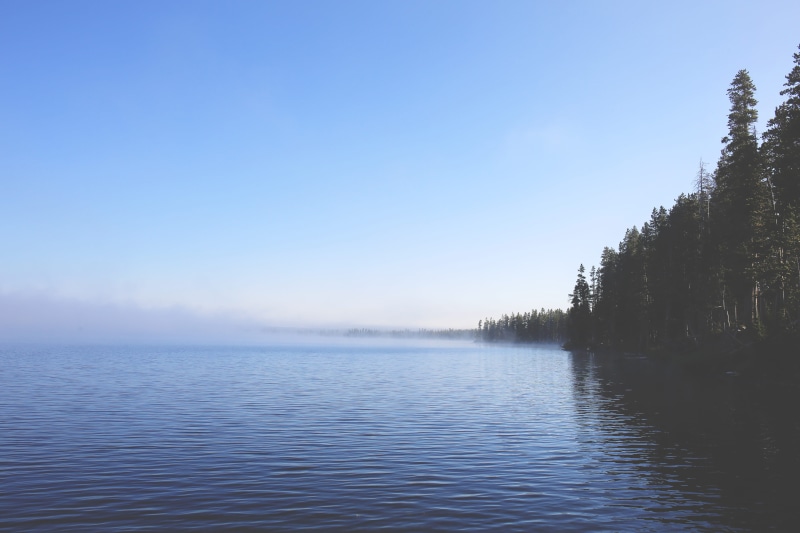 idyllic, tranquil scene, copy space, lake, no people, waterfront, clear sky, sky, morning, trees, tree, travel, dawn, plant, meditation, rustic, non-urban scene