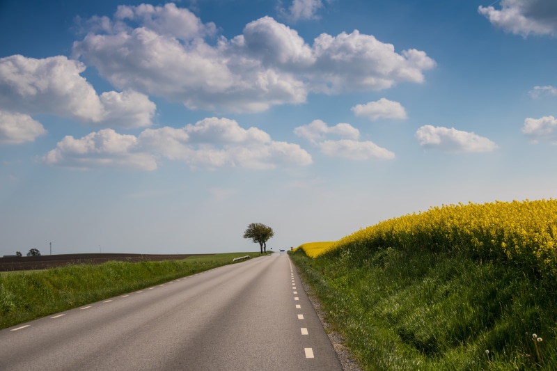 canon, road, landscape, geo:location, 5K, ƒ / 5, Raps, Söderslätt, camera, city, summer, state, canon eos, field, outdoors, meadow, countryside, cloud