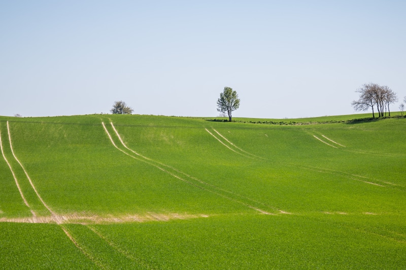 nature, 760d, camera, summer, outdoors, iso_speed, meadow, sky, fält, blue, exif, grass, landscape, field, s18, green, f/3.5, 70 mm, 5K, lawn, landskap
