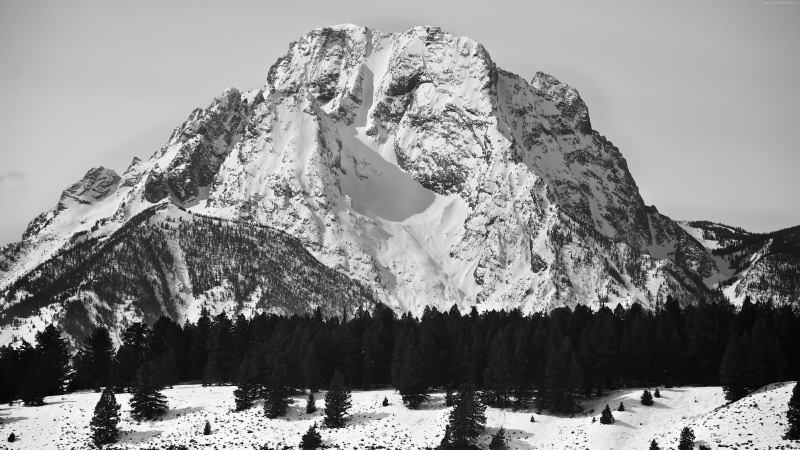 Grand Teton National Park, Wyoming, mount moran, USA, monochrome, 5K, mountains, nature