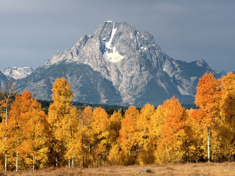 Wyoming, mount moran, fall, mountains, Grand Teton National Park, 720P, landscape