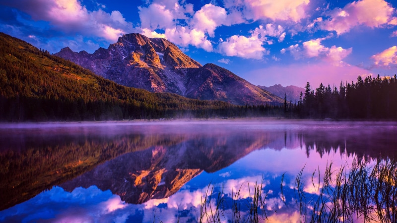 nature, Wyoming, sky, landscape, sunlight, mount moran, clouds, trees, lake, reflects, dawn, Grand Teton National Park, 1080P, plants, USA, forest