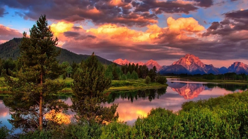 outdoors, landscape, national park, growth, bank, scenics - nature, water, mountain, idyllic, no people, grand teton national park, reflection, cloud, nature