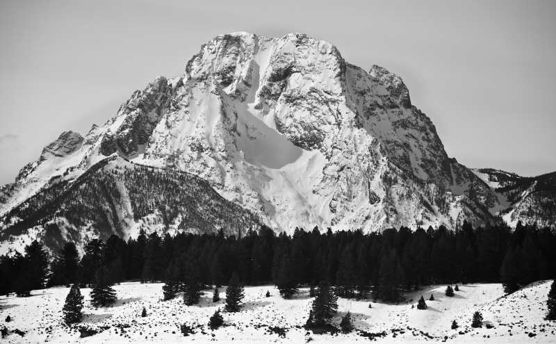 march, Mark, Cold, Natural, Mount, tree, low angle view, mountain, summit, sky, rugged, outdoors, Snowy, Jackson, Black and White, Winter, Tetons, Grand
