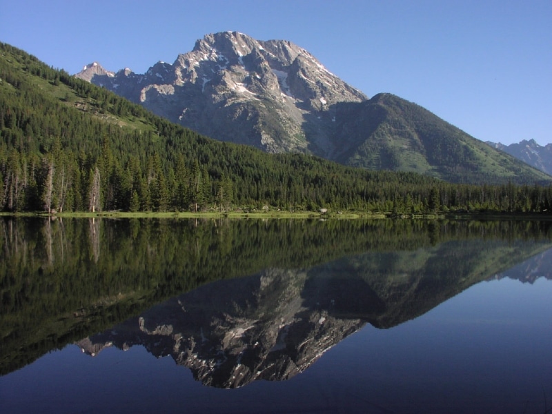 coniferous tree, reflection, sky, plant, beauty in nature, symmetry, tree, wyoming, tranquility, travel destinations, string lake, reflection lake, no people