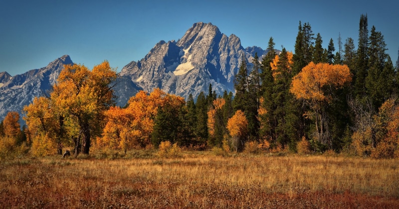moran, landscape, autumn, mountain, mount, 1080P