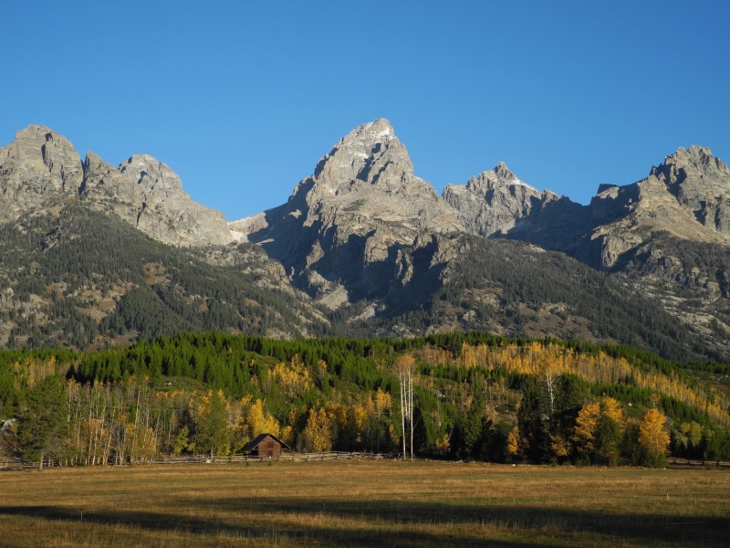woodland, grass, scenics, park, plant, wyoming, beauty in nature, travel destinations, tree, mountain peak, landscape, coniferous tree, mountain Range
