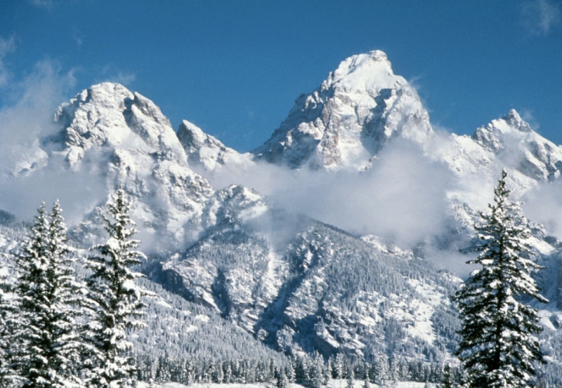 cold temperature, plant, tranquil Scene, pine tree, perce, land, nature, winter, United States, Grand Teton National Park, european Alps, beauty In Nature