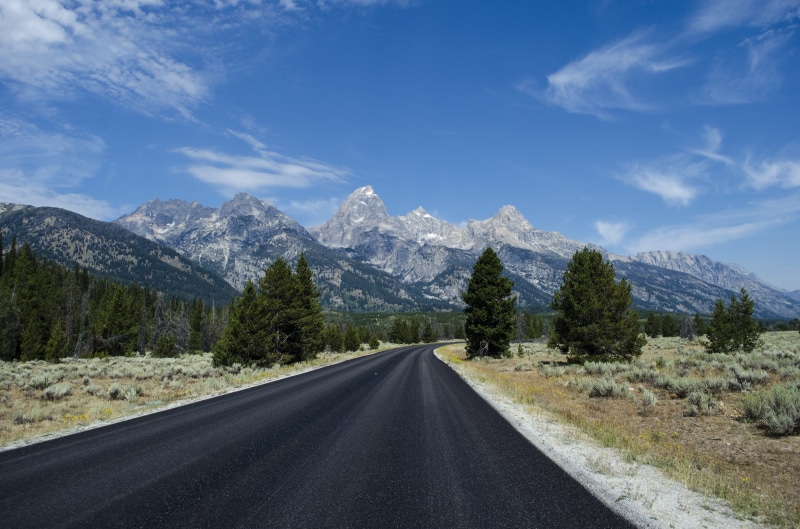 diminishing perspective, forest, road trip, tree, outdoors, rural, nature, non-urban scene, snow, park, overlooking, grand teton national park, direction