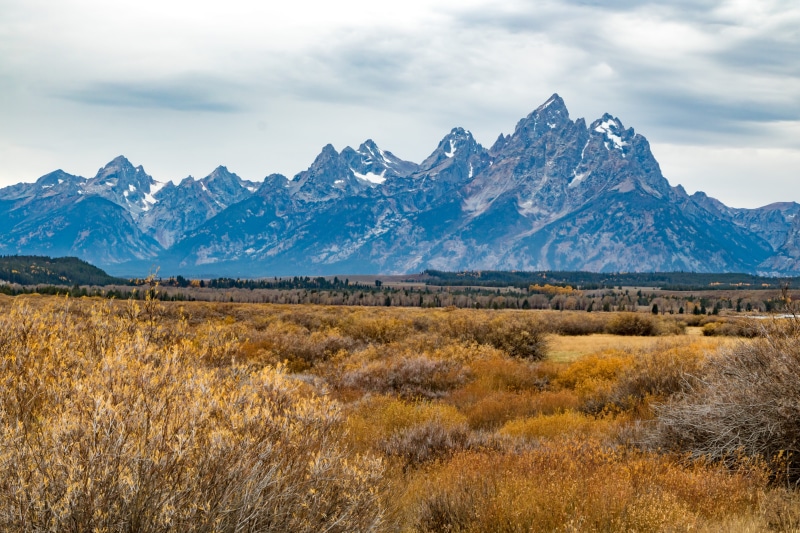 grass, cloud - sky, road, no people, mountain peak, gravel, plant, snow, snowcapped mountain, mountain range, sky, brown, formation, flora, grassland, grand teton