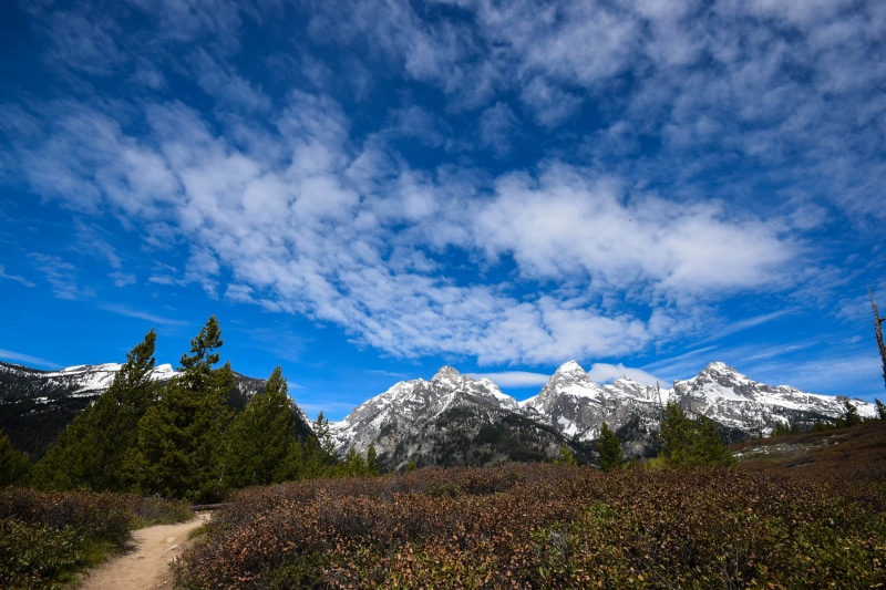 grand, day, tranquil scene, no people, snowcapped mountain, blue, idyllic, tree, nature, sky, beauty in nature, non-urban scene, plant, grand teton, outdoor