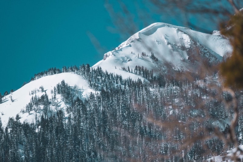 nature, tranquil scene, beauty in nature, grand teton national park, snow, national park, pine tree, environment, cold temperature, wyoming, tree, mountain