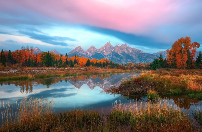 grass, lake, mountain range, Forest, The Teton Range, Mountain, tranquil scene, sky, Mountains, non-urban scene, scenics - nature, idyllic, beauty in nature