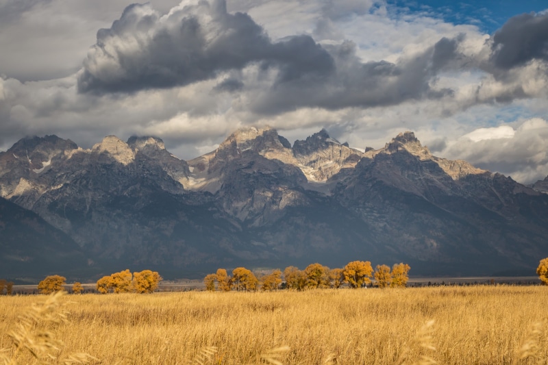 weather, cumulus, grand teton national park, united states, landscape, grass, field, brown, cloud - sky, mountain, near, non-urban scene, plant, cloud