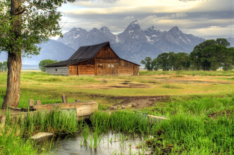Thomas Moulton Barn, reeds, park, grand, Creek, national, valley, Wyoming, house, USA, mansion, Grand Teton National Park, trees, 2K, mountains, teton