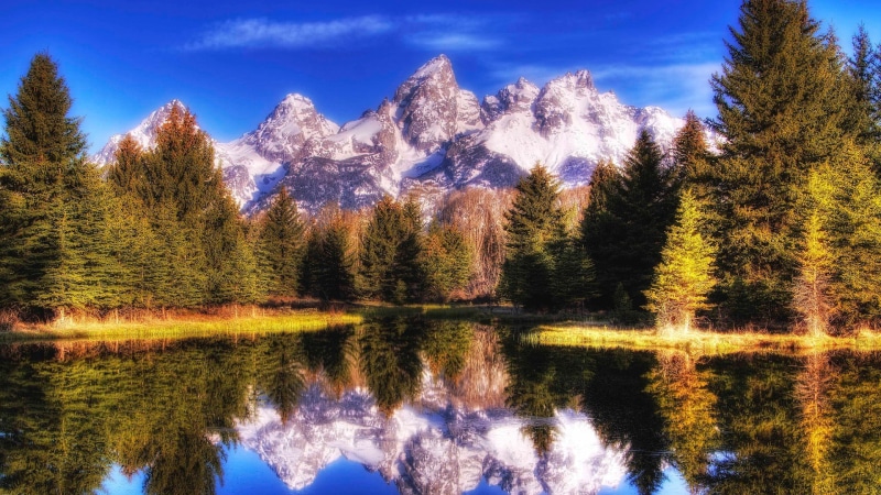 land, pine woodland, mountain range, snowy mountain, near, beauty in nature, mountain peak, 1080P, water, scenics - nature, pine tree, reflection, no people