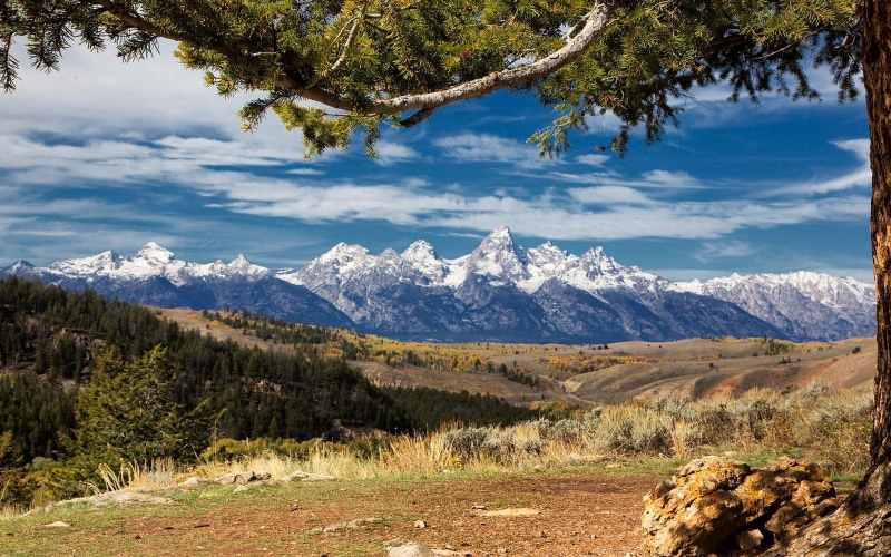 Grand Teton National Park, snowy peak, grass, environment, scenics - nature, non-urban scene, beauty in nature, tranquility, cold temperature, mountain peak