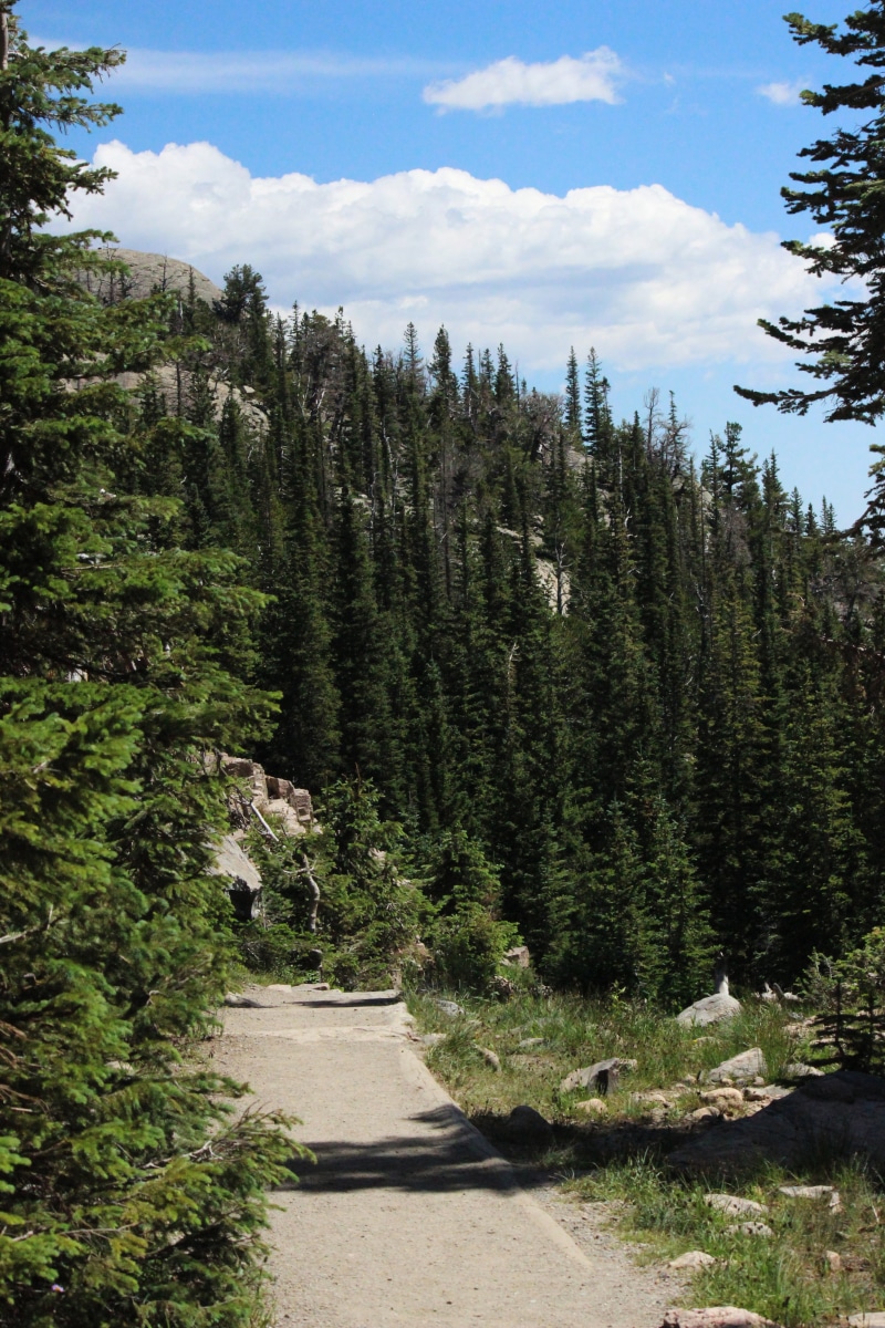 rocky mountain national park, nature, granite, green color, outdoors, rockies, no people, road, land, path, national park service, journey, scenic, tranquil scene