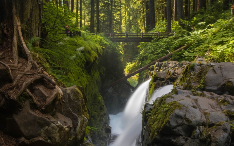 olympic natioanl park, pacific northwest, day, power in nature, waterfall, non-urban scene, long exposure, 5K, scenics - nature, solid, woodland, tree