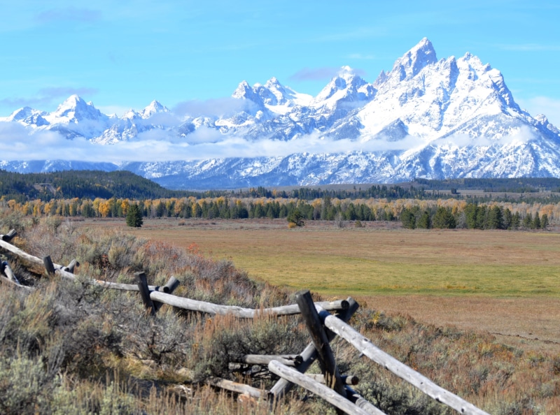 United States, snowcapped mountain, snowcovered, outdoors, Autumn, winter, plant, Moose, tranquility, Aspens, scenics - nature, beauty in nature, Jackson