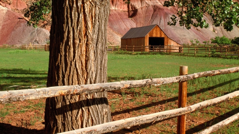 reef, np, fence, 1080P, capitol, utah, farm, nature and landscapes, tree, barn, fruita