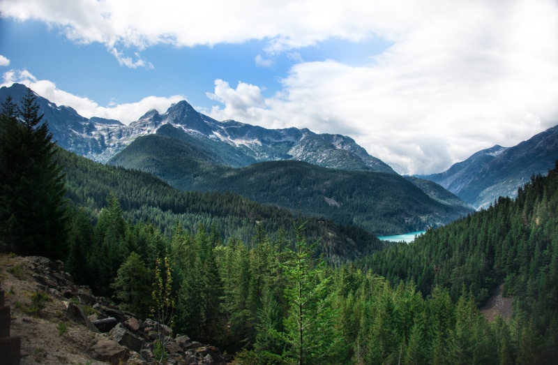 tranquility, mountain range, pine tree, north cascades scenic highway, beauty in nature, pine woodland, land, mountain peak, no people, non-urban scene