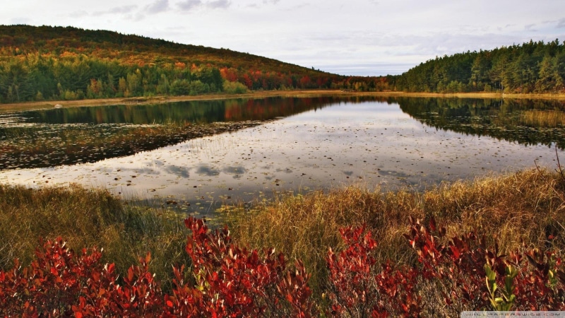 maine, forest, np, pond, autumn, nature and landscapes, acdia, leaves, 1080P, breakneck