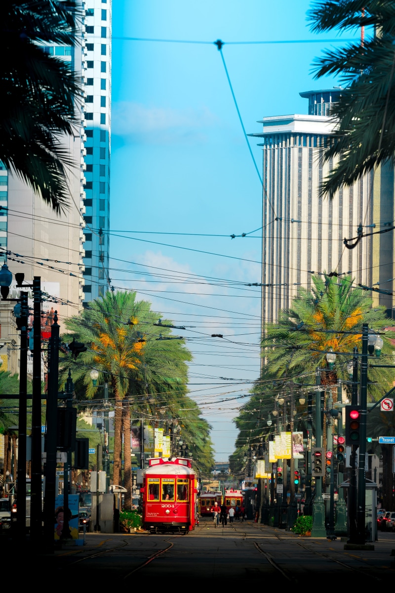 trees, mode of transportation, motor vehicle, incidental people, office building exterior, city street, louisiana, car, city, architecture, urban, public transportation