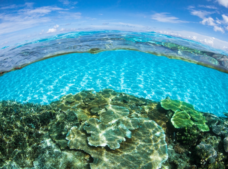 Blue, places, Digital, at the bottom of, 4K, hd, Paradise, shallow, animal wildlife, Fisheye, sea, Asia, nature, Travel, Wide, swimming pool, Seaside