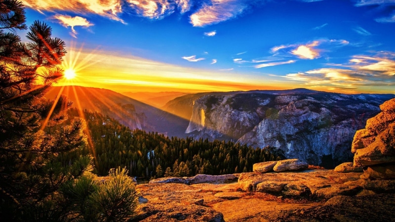 pine tree, view, sunset, plant, sky, sunlight, orange color, sun, national park, pine, 1080P, vista, sunrise, environment, beauty in nature, tranquil scene