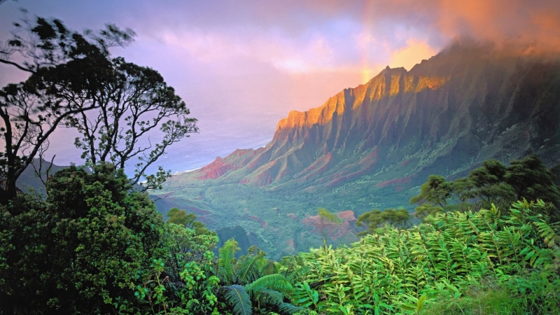 nuuanu valley, wilderness, environment, travel, hawaii, sky, valley, scenics - nature, oahu, united states, outdoors, vegetation, honolulu, view, national park