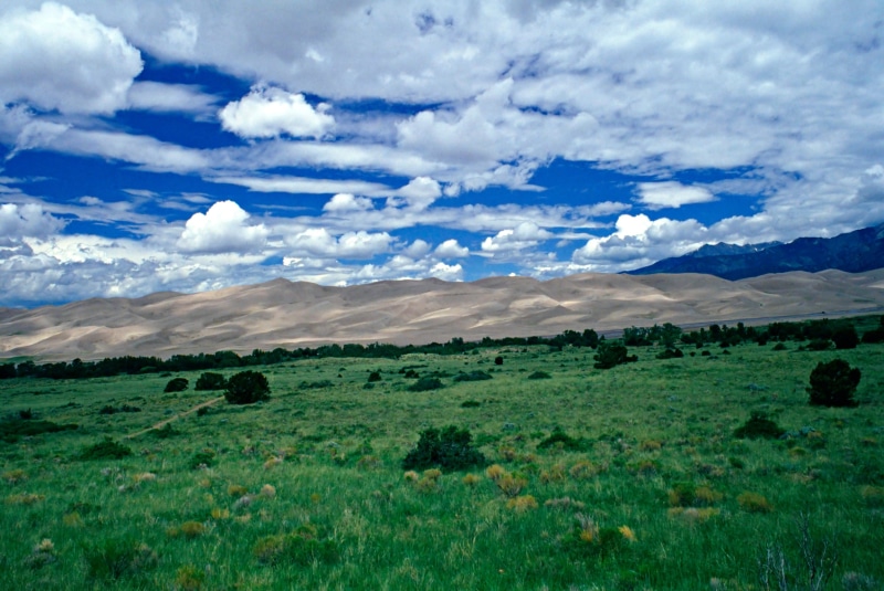 medano, cloud - sky, tundra, sky, sand, green color, park, conifers, growth, mountain, shadows, grasses, beauty in nature, national, clouds, landscape
