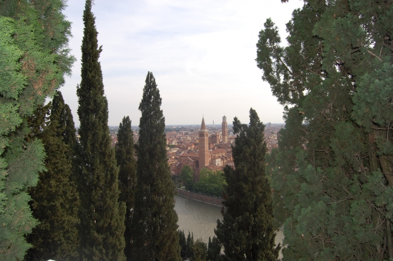 high angle view, green color, growth, landscape, river, scenics - nature, no people, building exterior, 2K, city, torre, italy, church, buildings, travel destinations