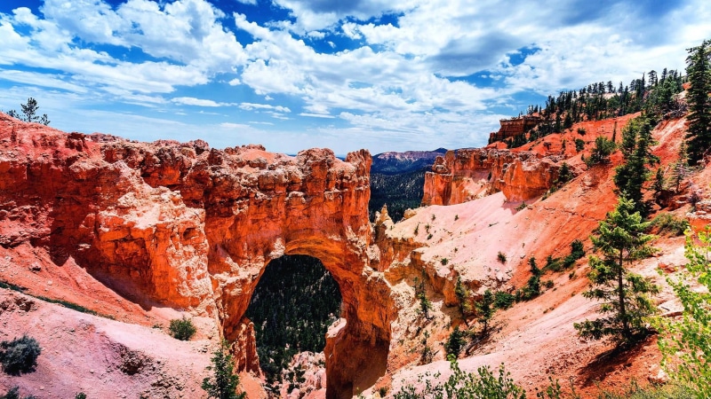 geology, tranquil scene, tranquility, tree, physical geography, natural arch, escarpment, solid, non-urban scene, travel, eroded, usa, no people, badlands