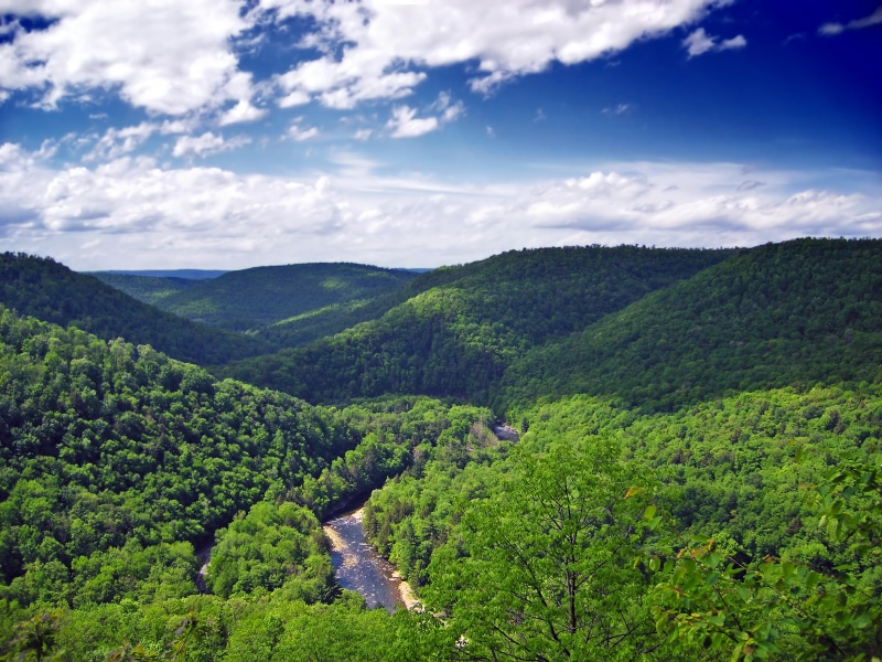tree, green, blue, Physiography, photography, mountain, cumuliform, Endless Mountains, summer, birds, Loyalsock Creek, Pennsylvania, hills, scenics, Allegheny Plateau